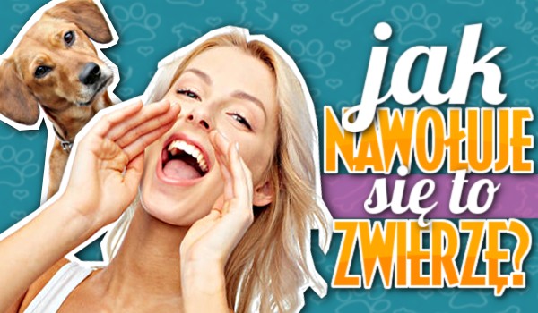 Jak nawołuje się to zwierzę?