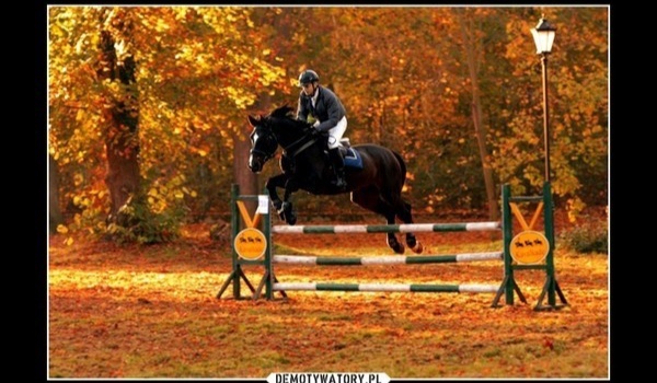 List| Koniec | Qardigo Q