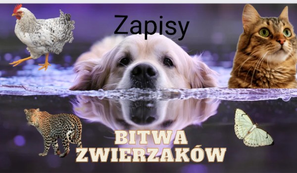 Bitwa Zwierzaków ZAPISY