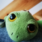 Amisiowaamelka