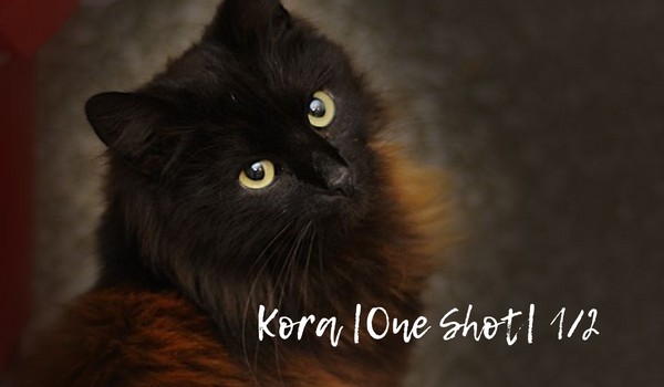 Kora| One Shot | 1/2