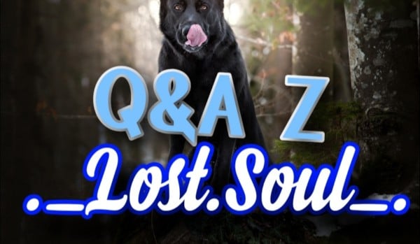 Q&A z ._Lost.Soul_.