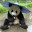 Pandziula_jestem