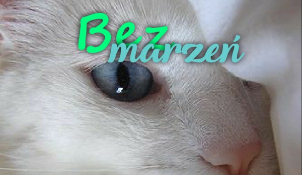 Bez marzeń #1