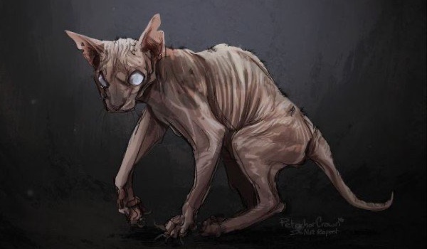 Co sądzę o Ostańcu? #2