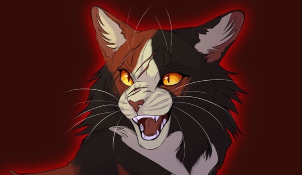 Co sądzę o Klonowym Cieniu? #3