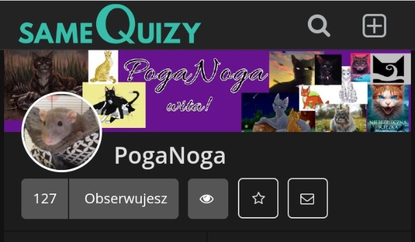 Ocenianie profilu PogaNoga.
