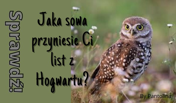 Jaka sowa przyniosła by Ci list z Hogwartu?