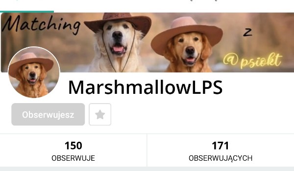 Oceniam profil @MarshmallowLPS
