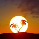 xSUNRISEx