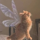 _a_n_o_n_i_m_o_w_a_06