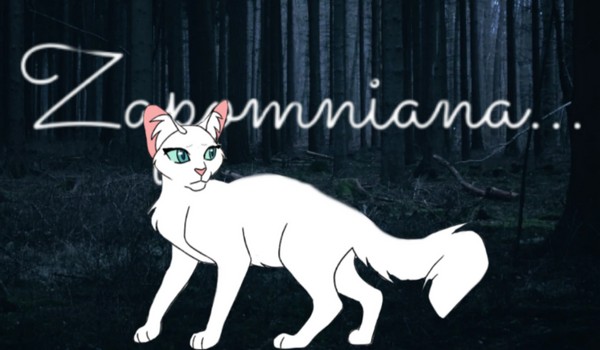 Zapomniana ~Chapter Three~