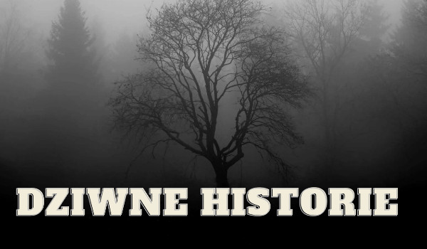 Dziwne historie|°4