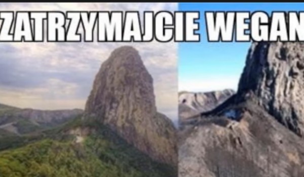 test na parufke jeryhońską