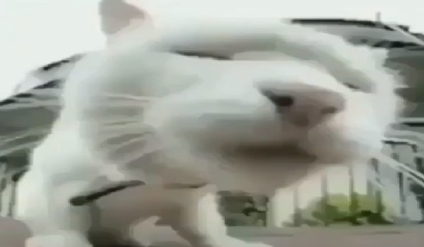 Czy jesteś Pixem?