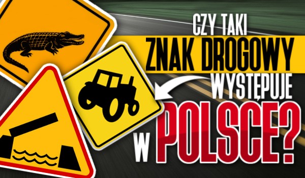 Czy taki znak drogowy występuje w Polsce?