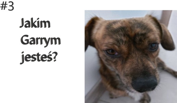 Jakim Gacusiem jesteś?