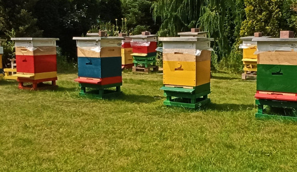 czy twoj chrush cie kocha