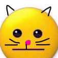 FoxyCat