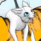 ._.bryzka._.wojownicy