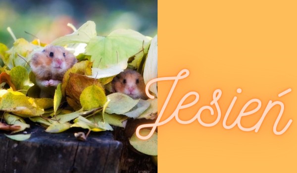 ~Jesień~