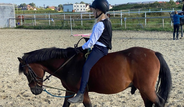 „Świat to konie 2 „