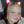 fiona.11