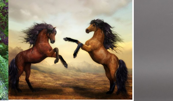 „Świat to konie 3”