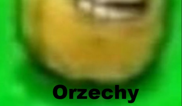 czy jesteś dobry jak kajma