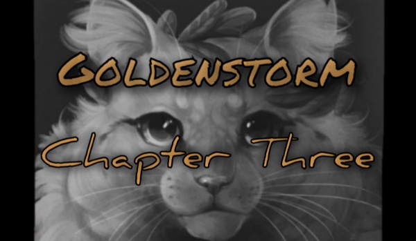• Goldenstorm • Chapter Three •