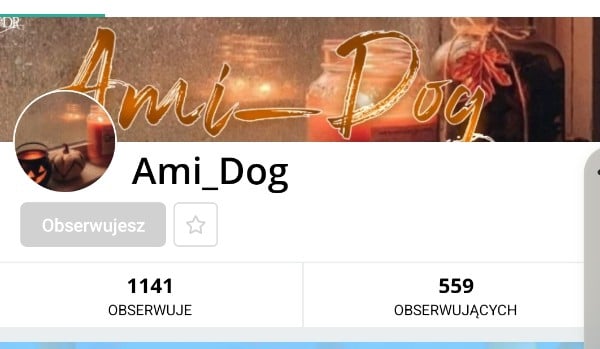 Oceniam profil @Ami_Dog