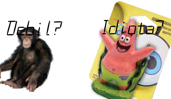 jesteś debilem czy idiotom