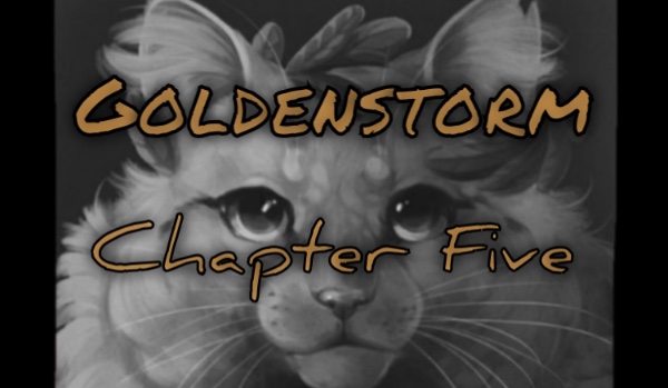 • Goldenstorm • Chapter Five •