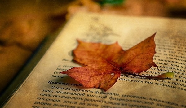 Jesień poezją pisana- wylosuj wiersz o tematyce jesiennej.