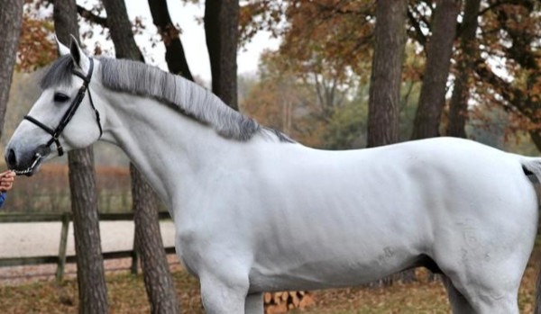 Inazuma eleven cz.14