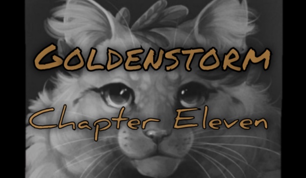 Goldenstorm • Chapter Eleven