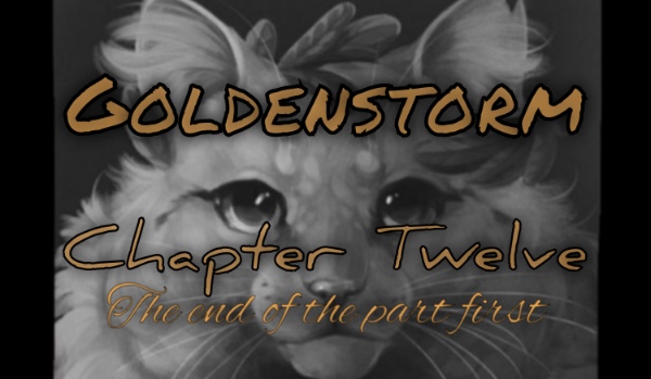 Goldenstorm • Chapter Eleven • The End Of The First Part