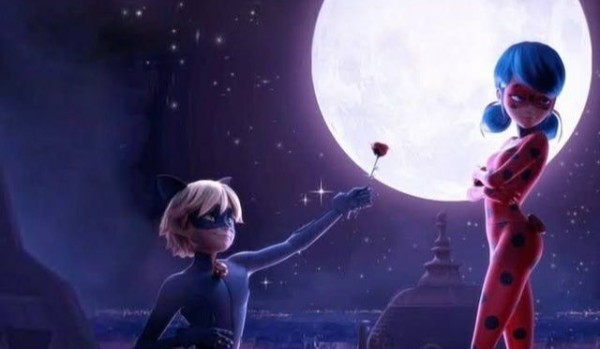 Q i A – odpowiedzi