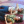 Toster_cytryn