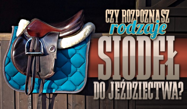 Czy rozpoznasz rodzaje siodeł do jeździectwa?