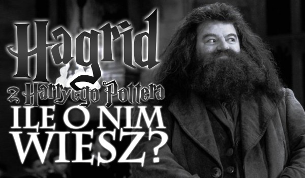 Hagrid z „Harry’ego Pottera” – Sprawdź, ile o nim wiesz!