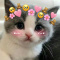 KittyAnabelle