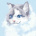 -MistyCat-