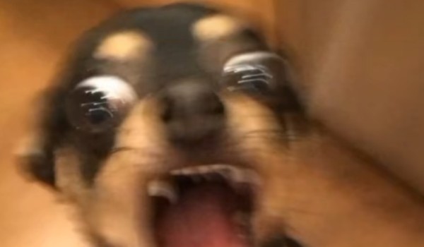 Czy jesteś psychopatą?