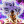 demonek123yt