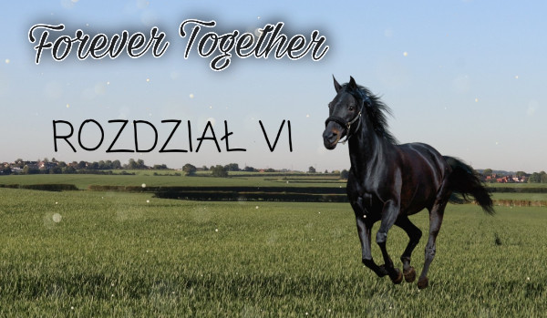 Forever Together – ROZDZIAŁ VI