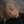 Lody.pomaranczowe.pl