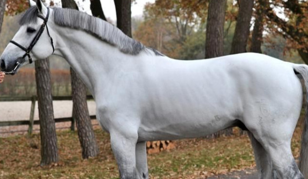 Sława i miłość cz.2