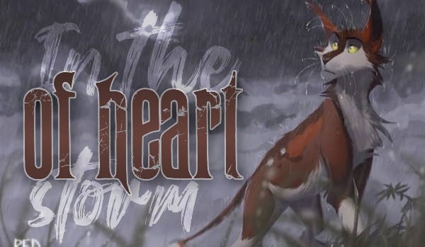 In the storm of heart