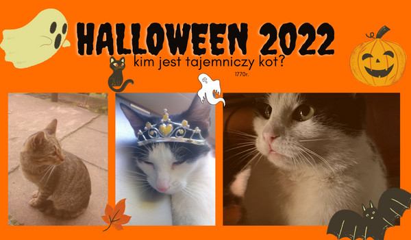 halloween 2022 ~ kim jest tajemniczy kot?